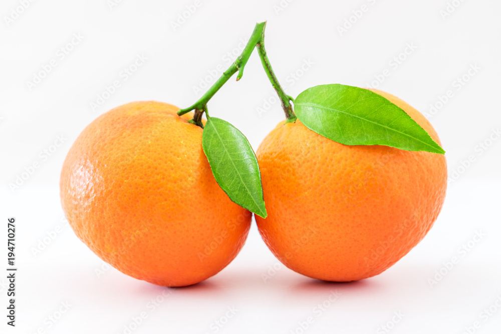 成熟的曼陀罗柑橘，绿色叶子在白色背景上分离