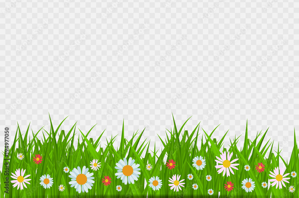 BrighGrass和flowers边界，透明背景上复活节贺卡装饰元素
