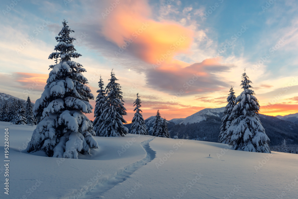 阳光照耀下的雪山中令人惊叹的橙色冬季景观。戏剧性的冬季场景