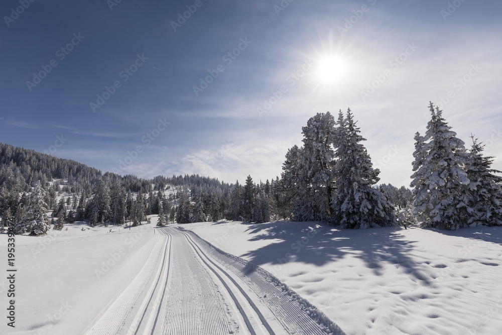 瑞士美丽冬日的越野滑雪道