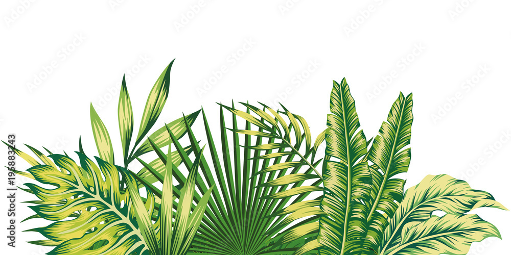 丛林树叶矢量合成热带图案。带棕榈的绿色邀请节日横幅
