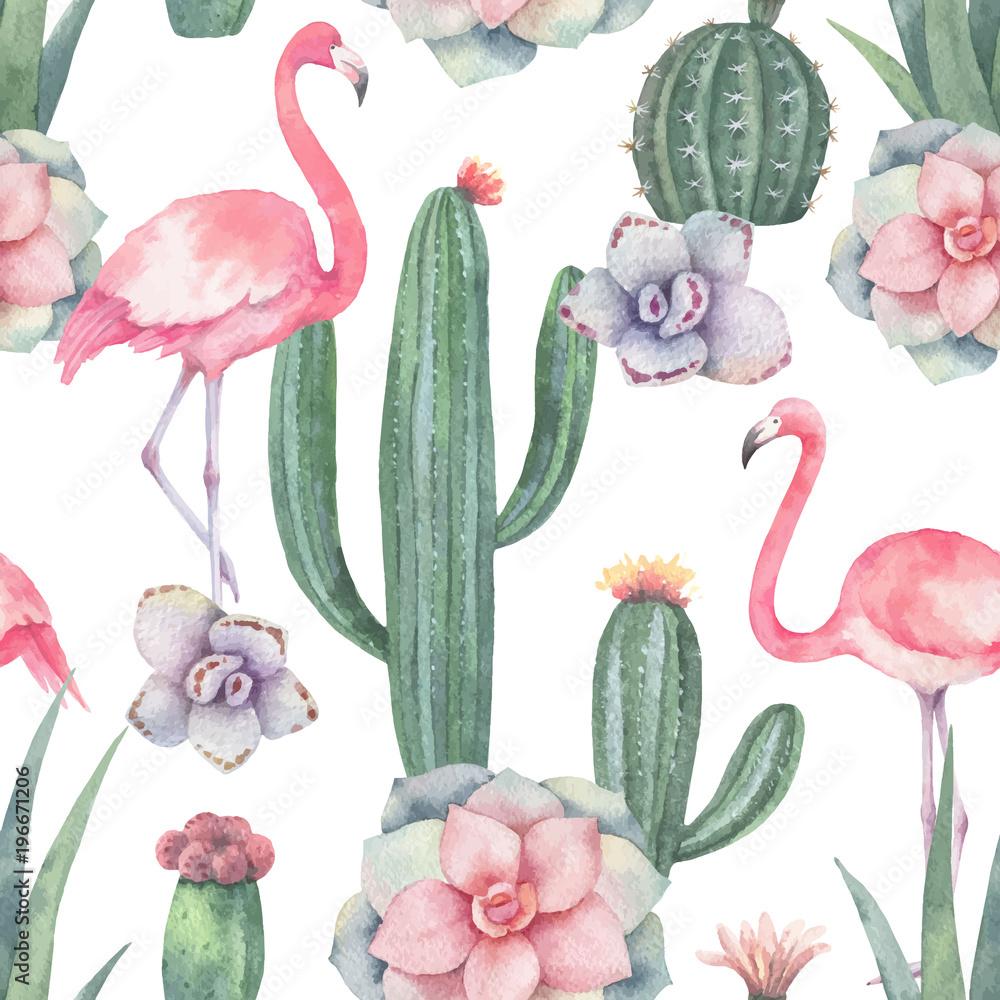 粉色火烈鸟、仙人掌和多肉植物在白色ba上的水彩矢量无缝图案