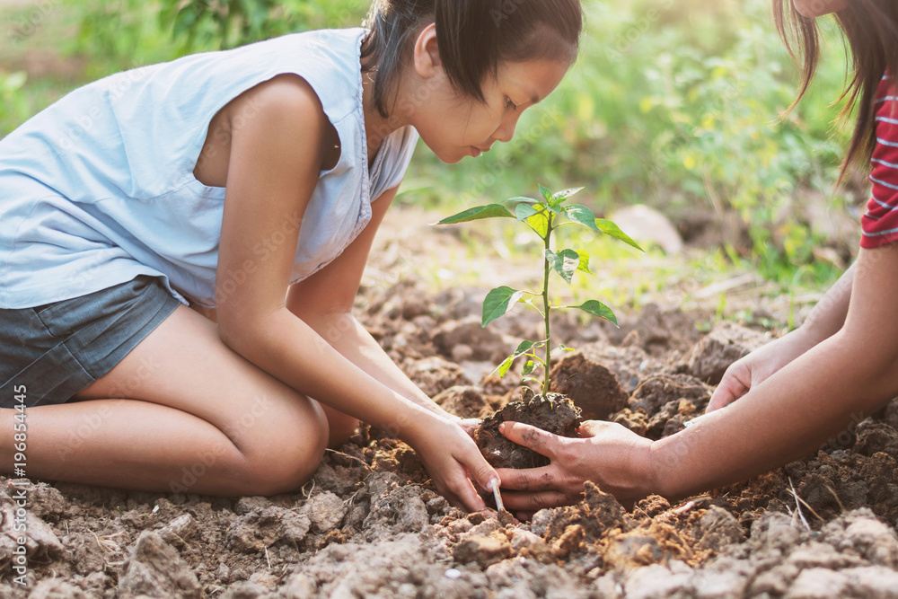 亚洲儿童在土壤上种植小树。概念绿色世界