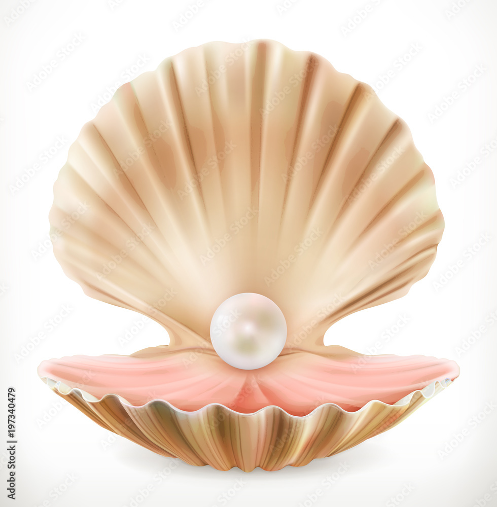 贝壳配珍珠。蛤，牡蛎三维矢量图标