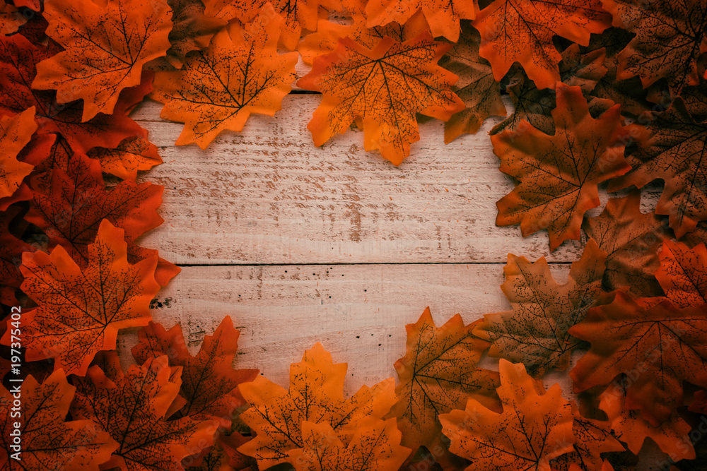 古老的白色复古木质纹理地板上的秋叶，为您的创意文本提供免费复制空间