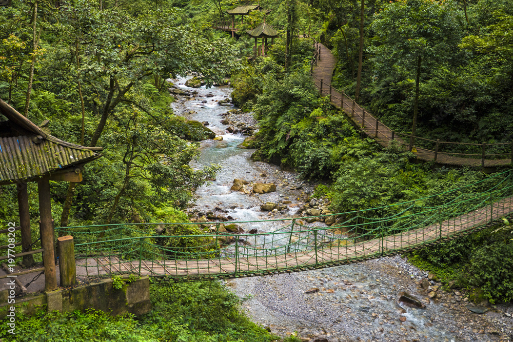 Beautiful Little Bridge in Mount Emei, Sichuan province, China