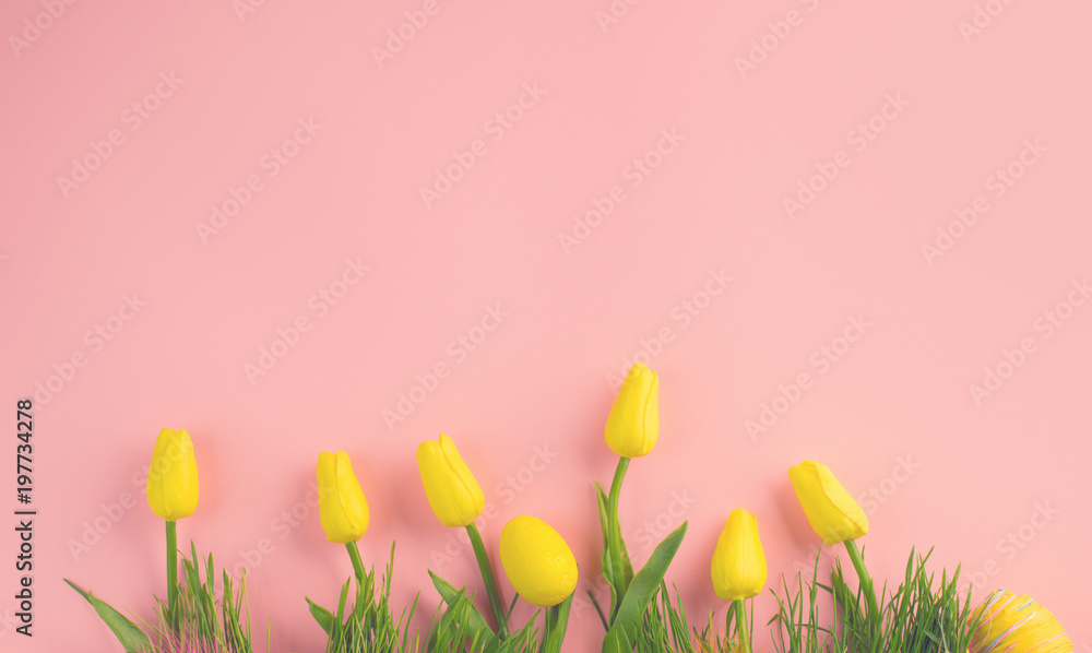 复活节背景。明亮的黄色鸡蛋和鲜艳的春天盛开的郁金香花，p上的青草