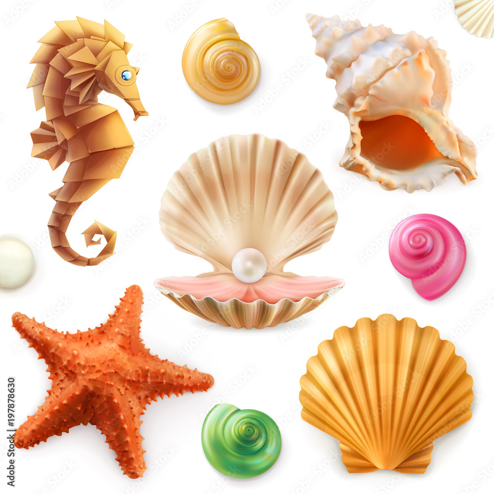 贝壳、蜗牛、软体动物、海星、海马。3d图标集