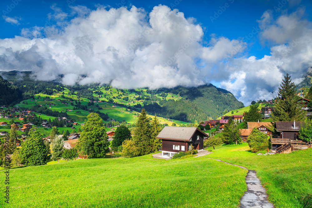 瑞士格林德瓦尔德阿尔卑斯山的梦幻山度假胜地，欧洲