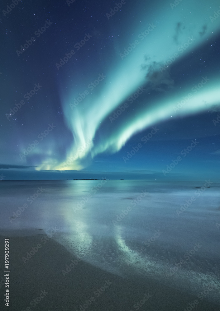 山下的北极光。挪威美丽的自然景观