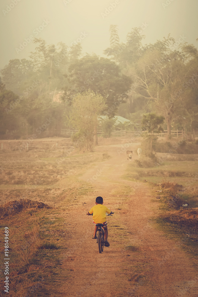 child on a bicycle at the countryside Road in the evening.
