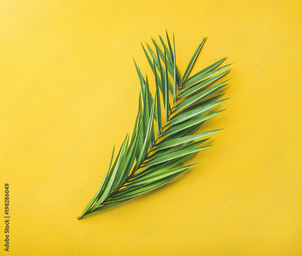 Green palm branches over yellow background, top view. Summer vacation or travel concept