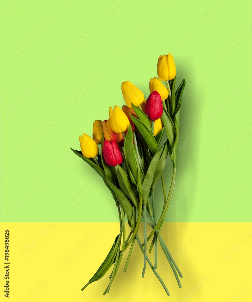 Different color tulips on background