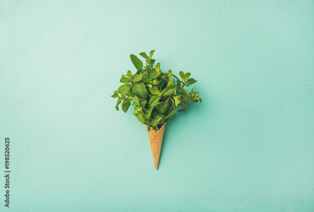 一层薄薄的甜华夫饼干冰淇淋蛋卷，在柔和的薄荷背景上撒上一束新鲜的绿色薄荷。