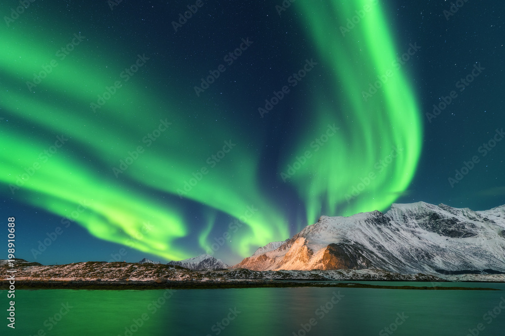 北极光。挪威罗弗敦群岛。极光。绿色北极光。带极光的星空