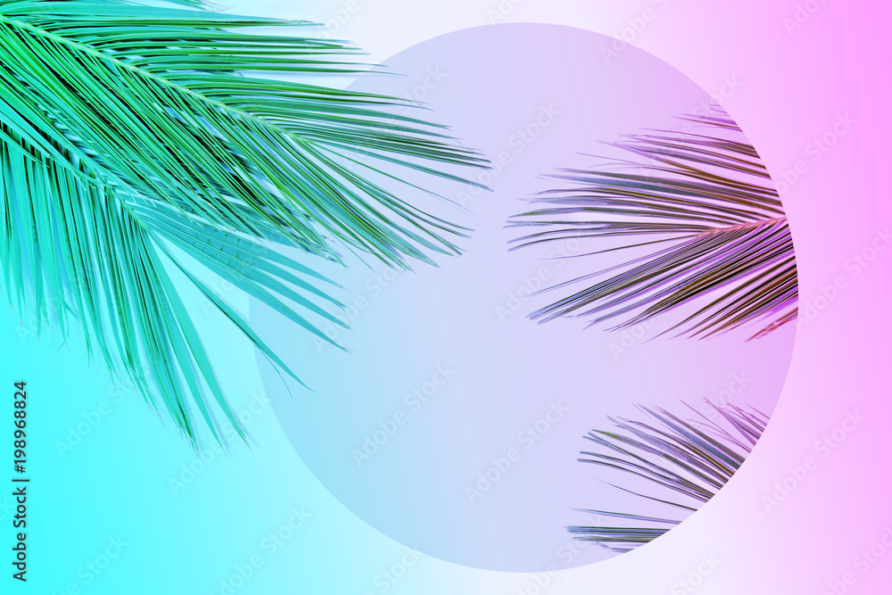 热带棕榈叶呈现鲜艳的渐变霓虹色。