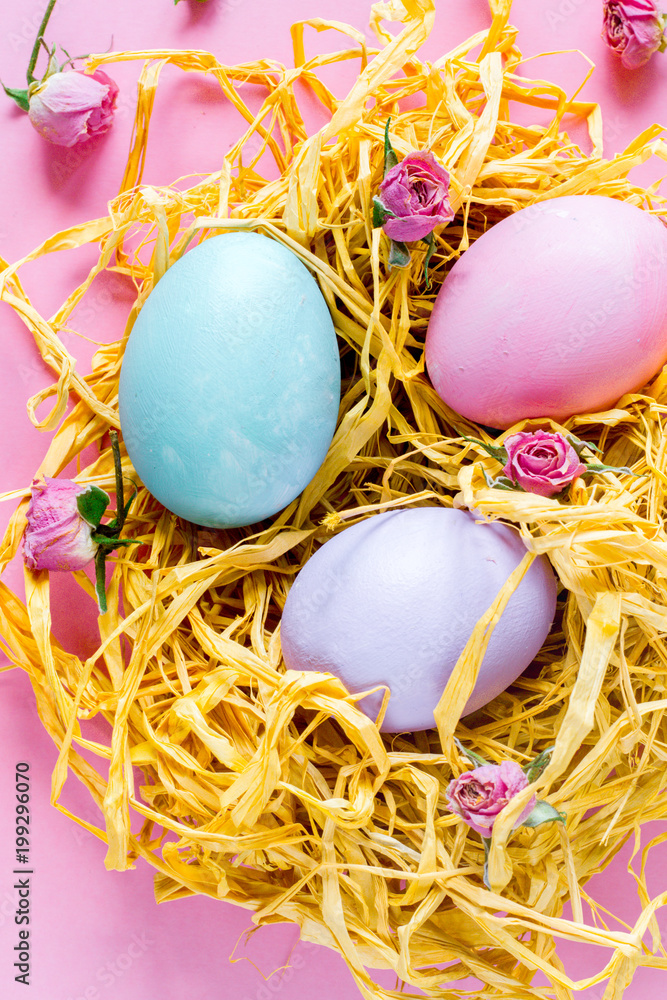 复活节概念彩蛋在鸟巢俯视图中的特写