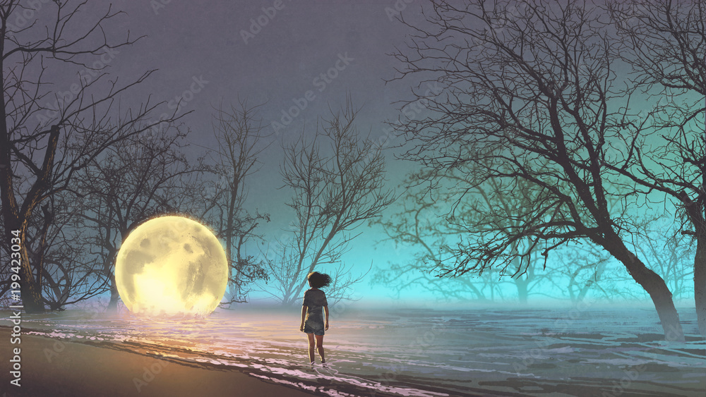年轻女子在湖面上看落月的夜景，数字艺术风格，插图