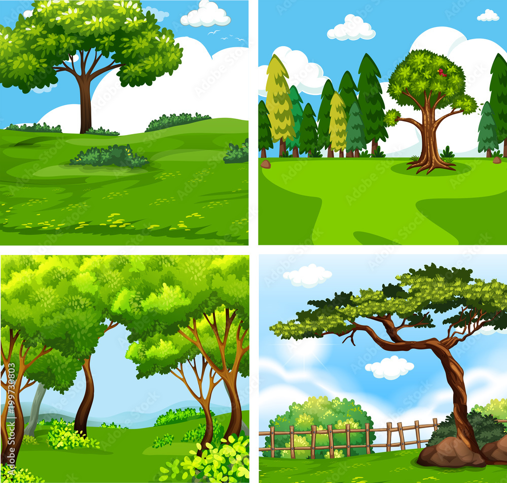 四种不同的绿色自然场景