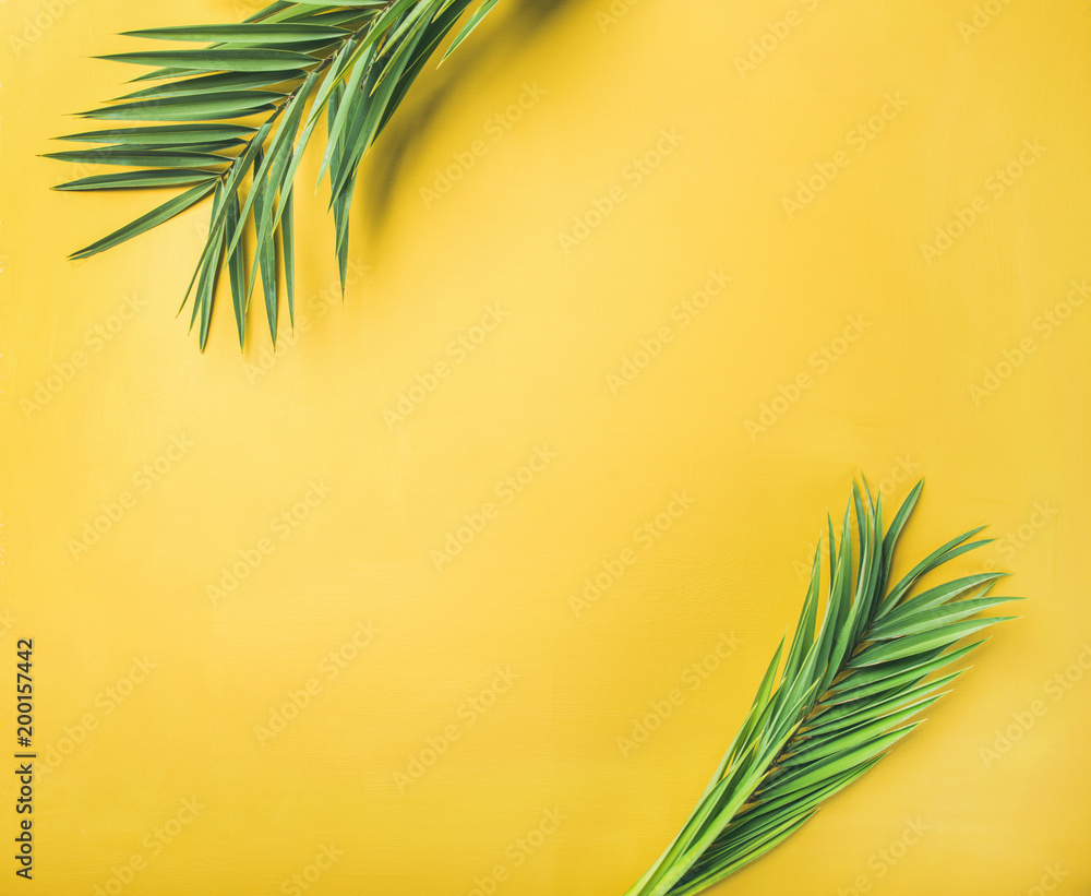 黄色背景上的绿色棕榈枝，俯视图，复制空间。暑假或旅行概念