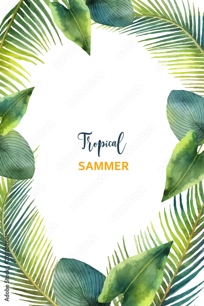 水彩矢量框在白色背景上隔离的热带树叶和树枝。