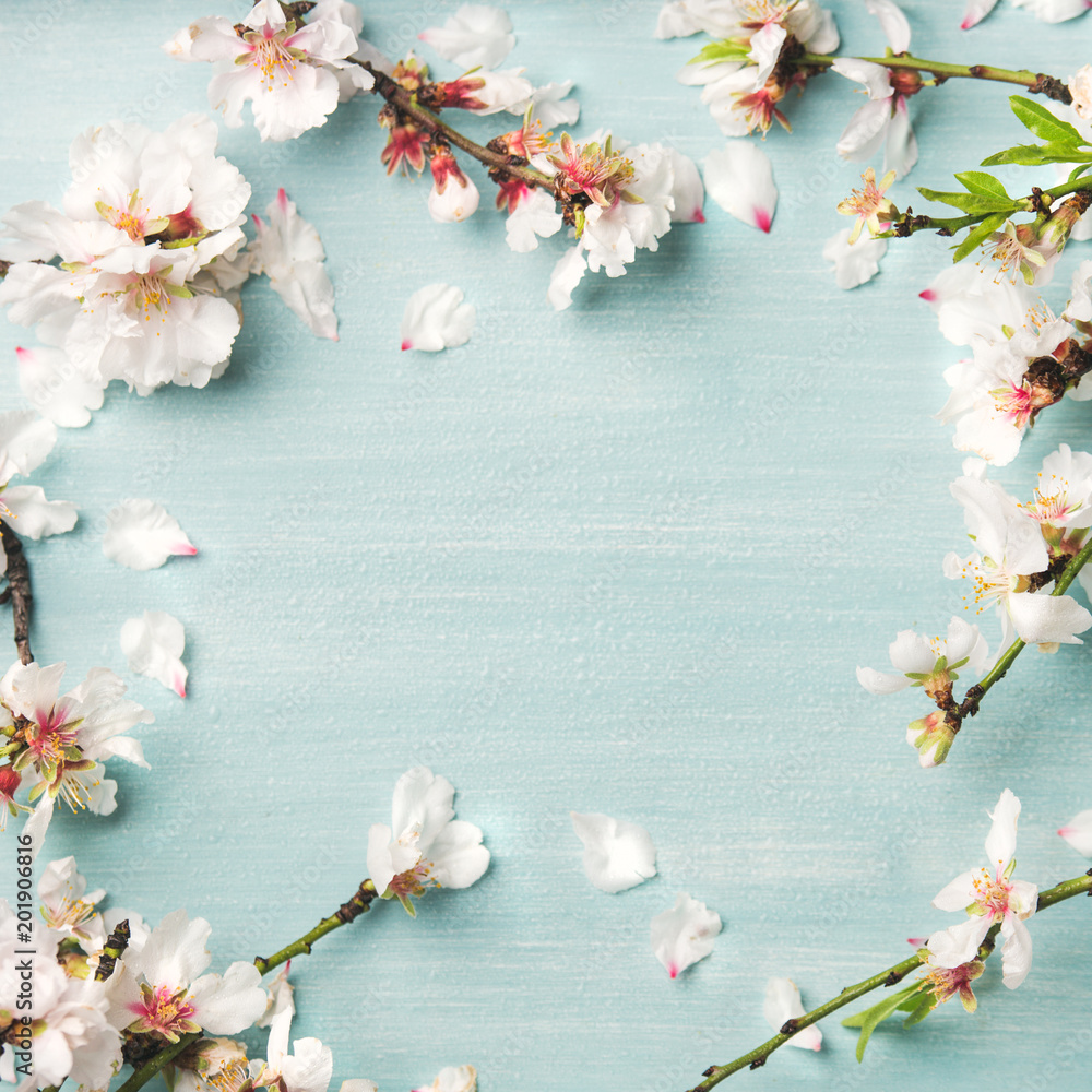 春季花卉背景、纹理和壁纸。白色杏仁花平铺在灯光上