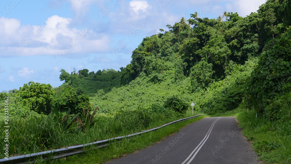 飞越遥远的柏油路，穿过瓦努阿图一望无际的茂密丛林。