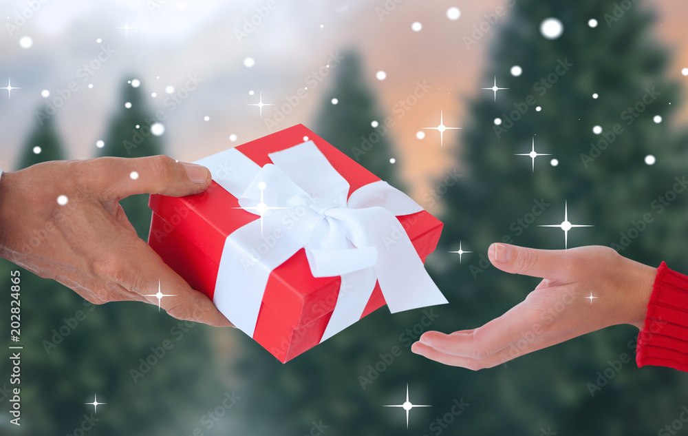 Couple holding gift against fir tree forest