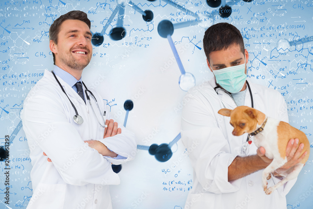 快乐的医生和兽医与生物技术和基因的结合