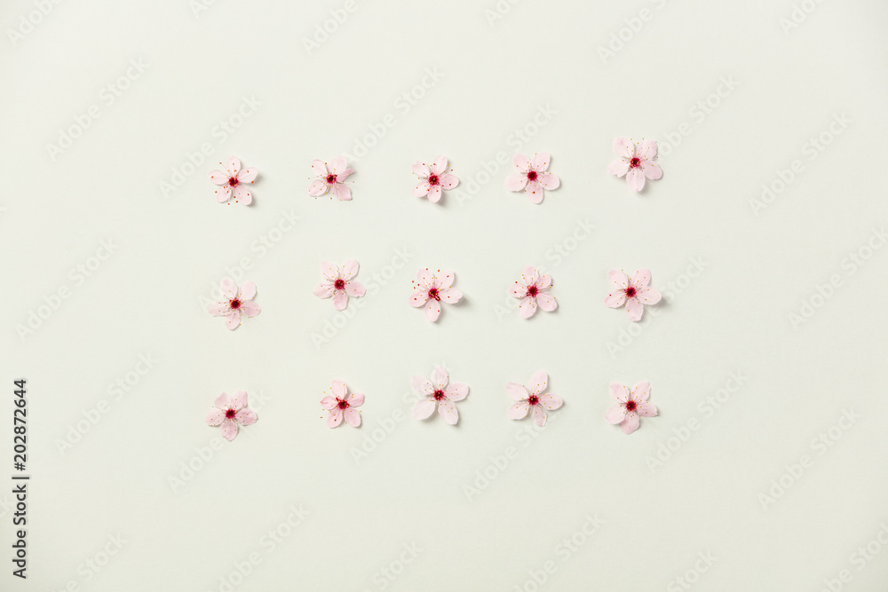 樱花的花朵图案