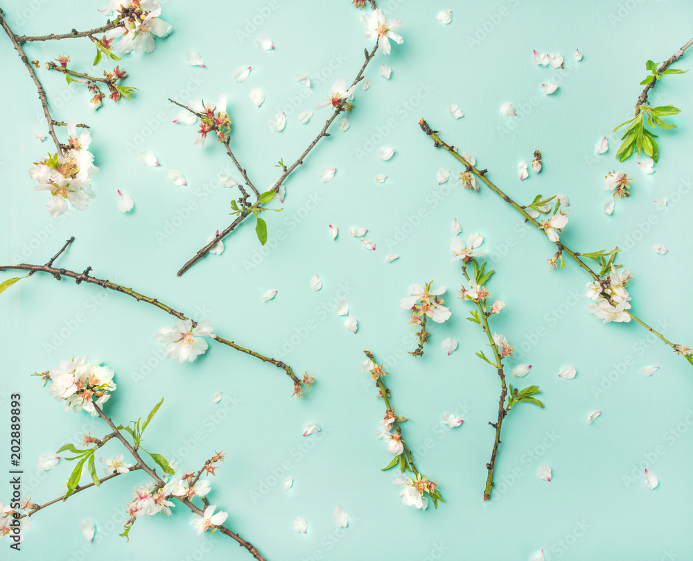 Spring floral background, texture and wallpaper. Flat-lay of white almond blossom flowers over light