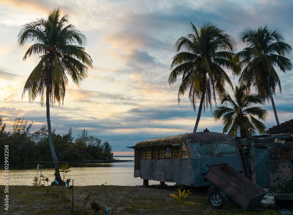 Vintage trailer and palm trees