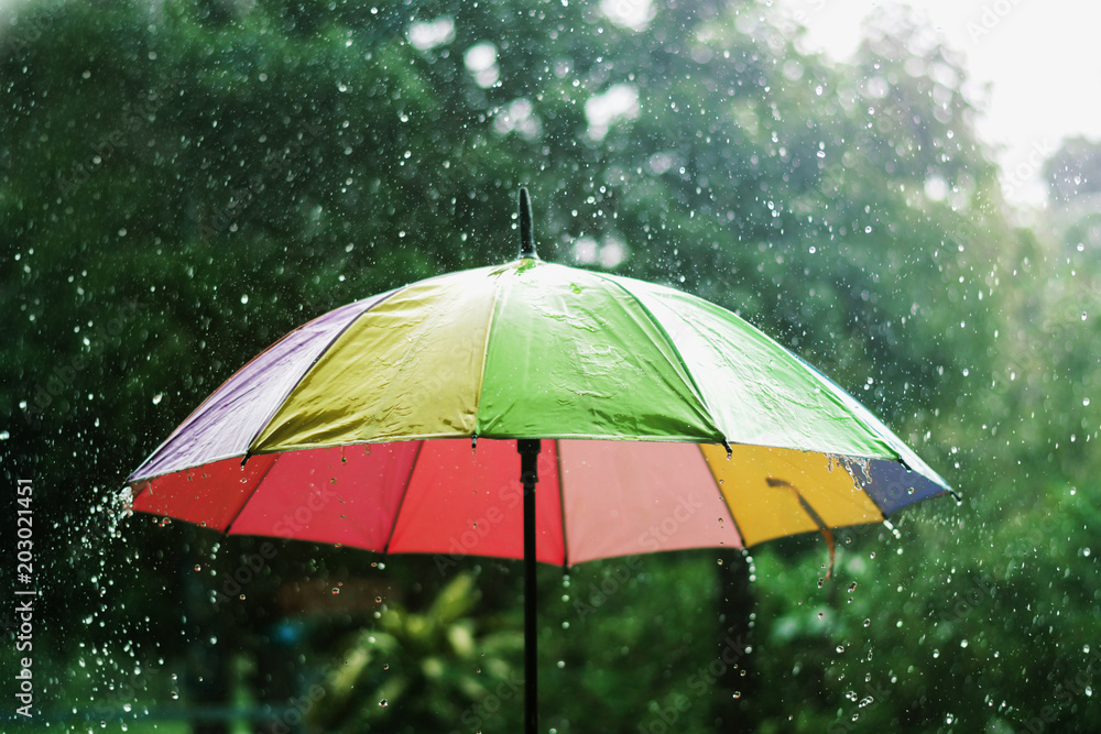 雨滴落在五颜六色的雨伞上，背景是绿色的