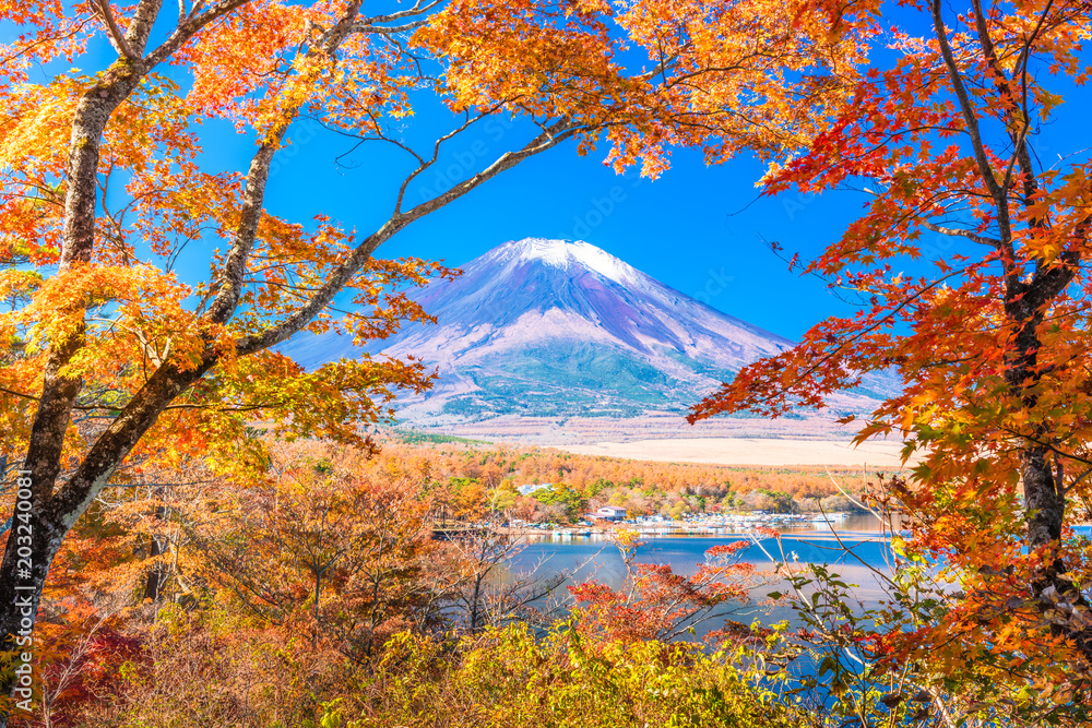 富士山，日本秋季