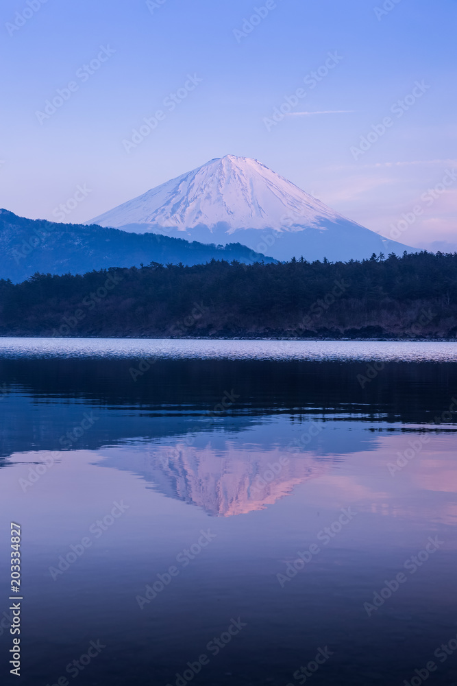 春季富士山和埼玉湖