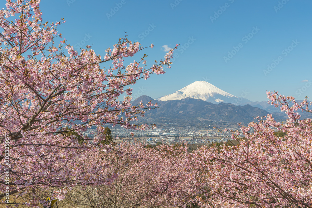 春日川津坂原与富士山
