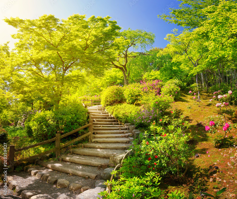 日本京都天龙寺附近的花园。荒山春天美丽的公园