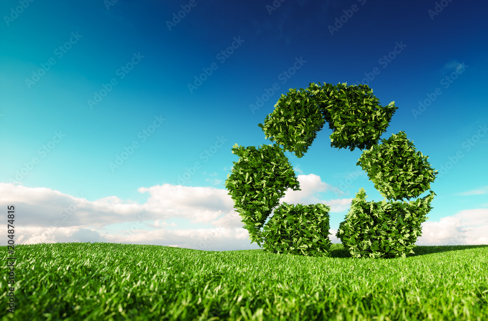 Eco friendly recyclation concept. 3d rendering of green recycle icon on fresh spring meadow with blu