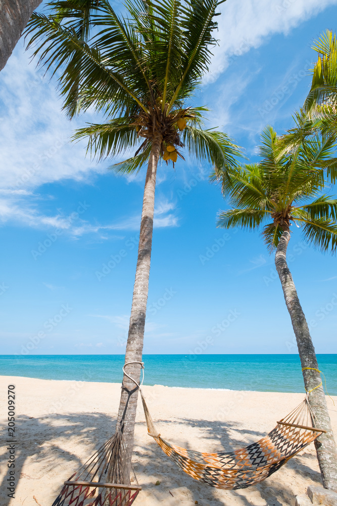 吊床挂在棕榈树上。热带海滩的夏季景观。