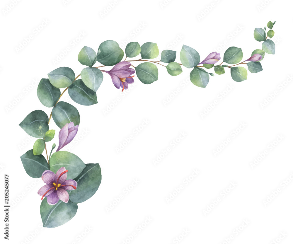 水彩矢量花环，绿色桉树叶，紫色花朵和树枝。