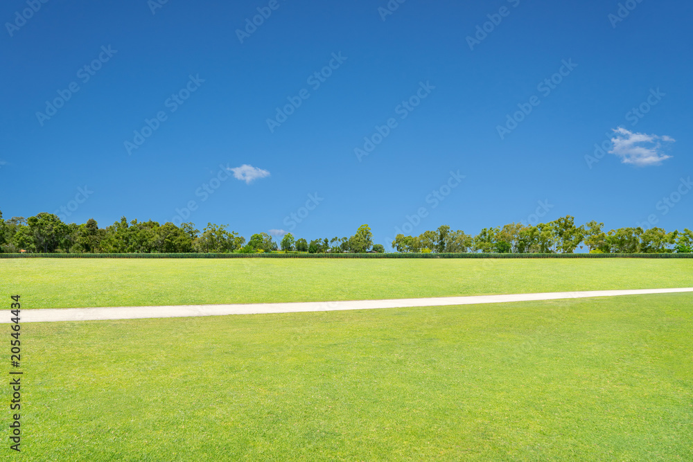 Green field with pathway and blue sky .