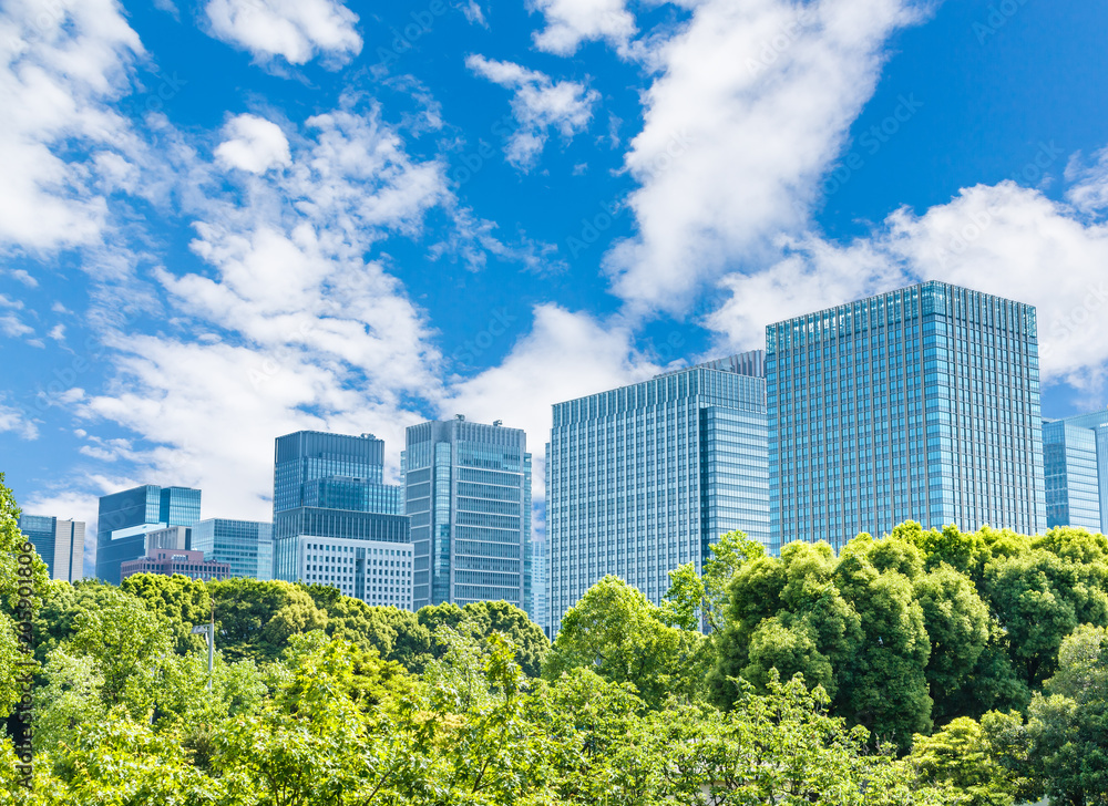 新緑と東京のビル群