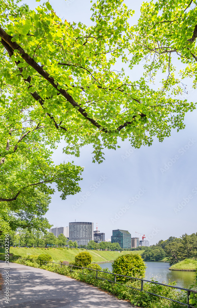 東京都市部の自然