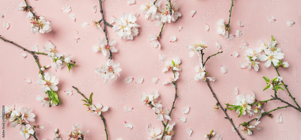 春天的花朵背景，纹理，壁纸。白色杏仁花和花瓣的平面布置。