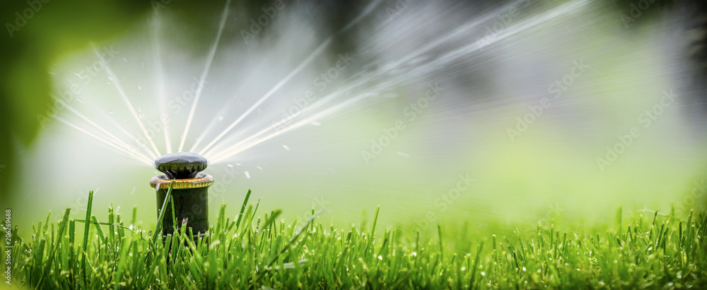 自动喷水灭火系统在草坪上洒水