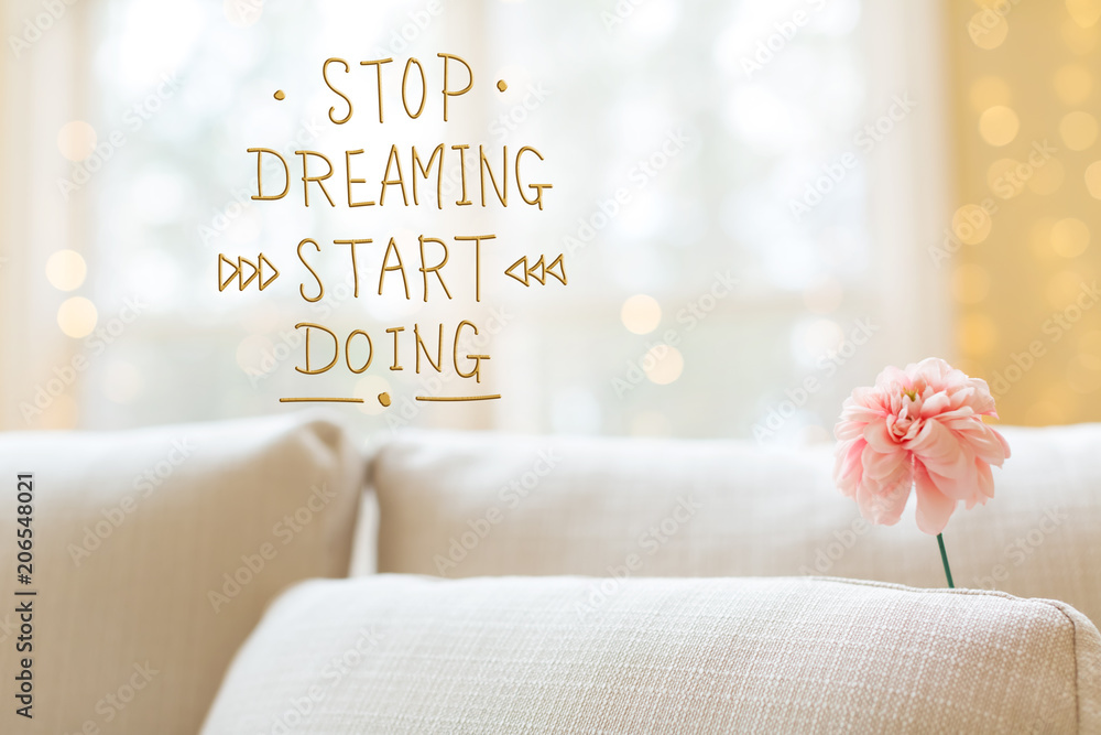 停止做梦，在明亮的室内沙发上用一朵花开始做