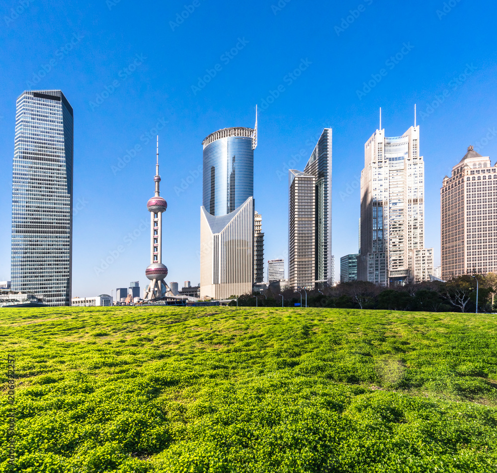 中国上海城市天际线的绿色草坪