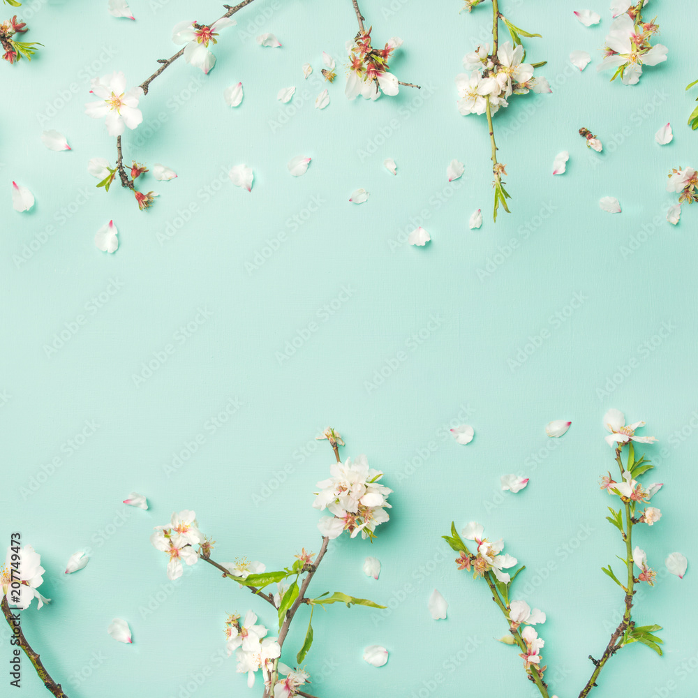 春天的花朵背景、质地和壁纸。白色杏仁花在光线下平放