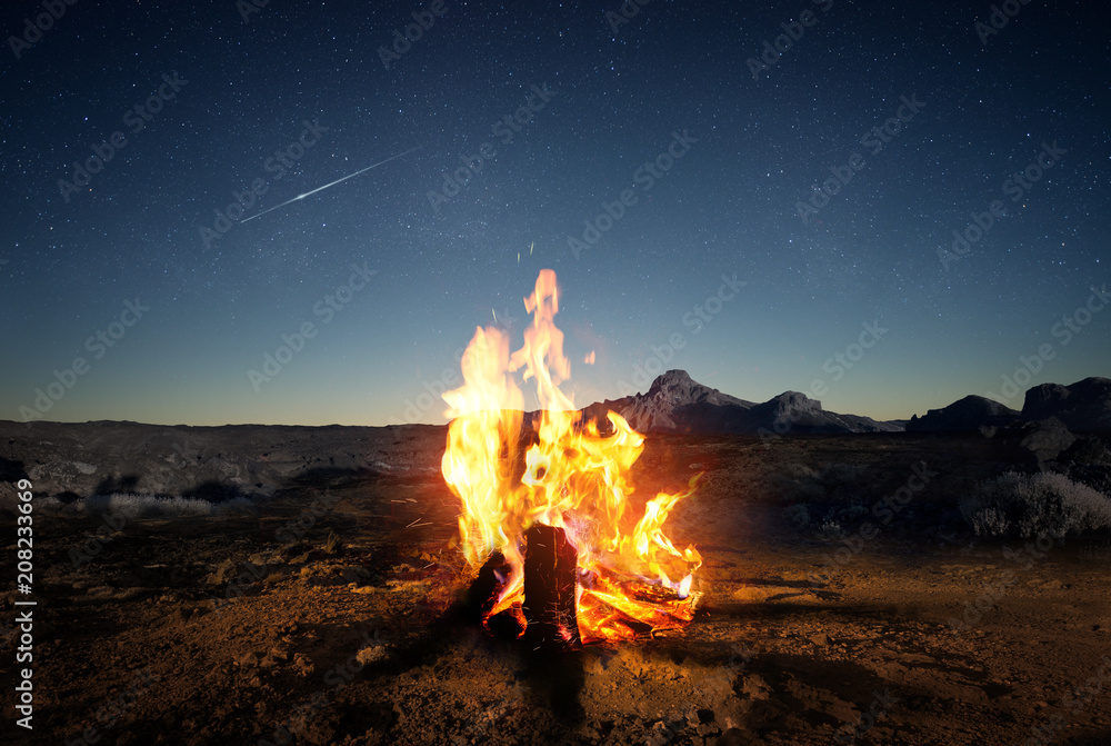 在夏天探索荒野。黄昏时，一团发光的篝火为你提供了舒适和光线