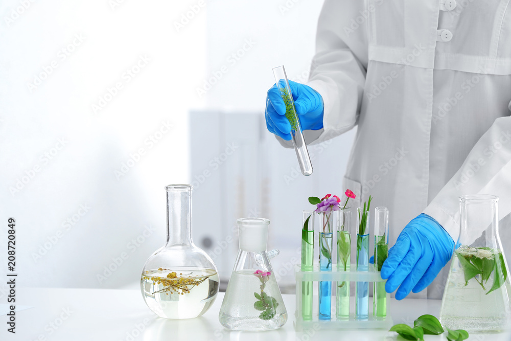 科学家在实验室研究植物